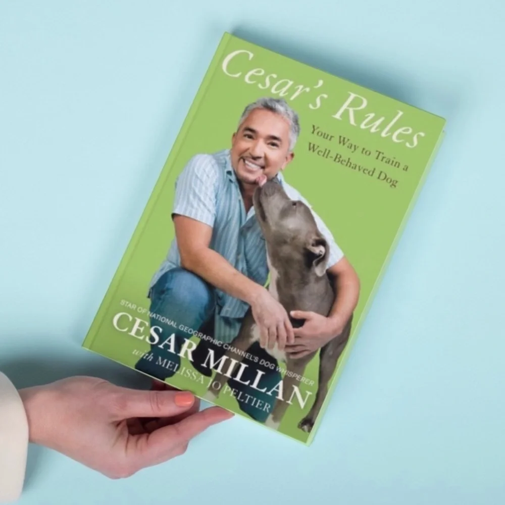 Cesar's Rules by Cesar Millan Dog Training Book